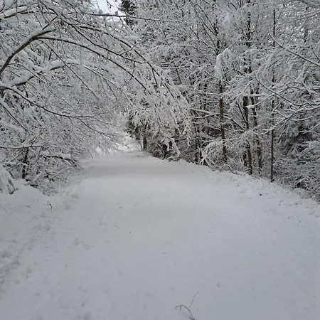 Feriegård Majkowiczowka Czorsztyn