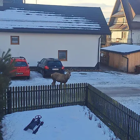 Majkowiczowka * Czorsztyn